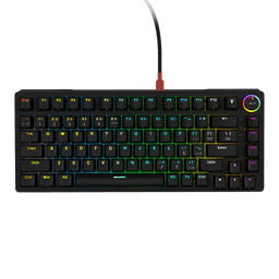 Teclado Mecânico PCYES 75% Rasec Gasket Mount Gateron Brown RGB ABNT2 TWGBRRGB 1
