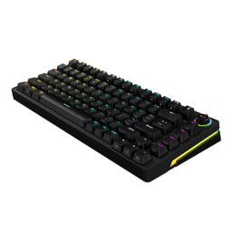 Teclado Mecânico PCYES 75% Rasec Gasket Mount Gateron Brown RGB ABNT2 TWGBRRGB 3
